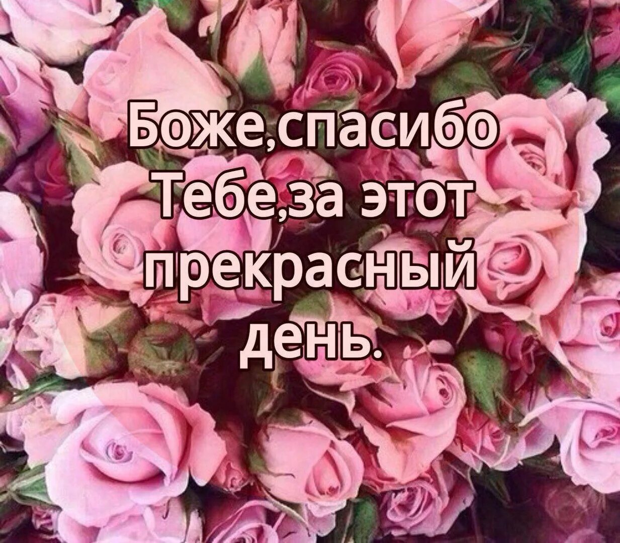 Спасибо господь что я такой аухенный. Благодарю Бога. Благодарить Господа Бога. Благодарю за этот день. За что благодарить Бога.