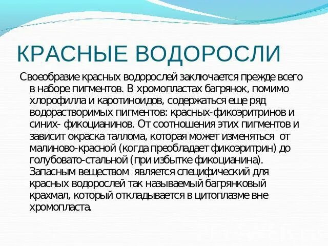 Набор пигментов в хроматофоре бурые водоросли. Красные водоросли презентация. красные водоросли содержат. красные водоросли фикоэритрин.