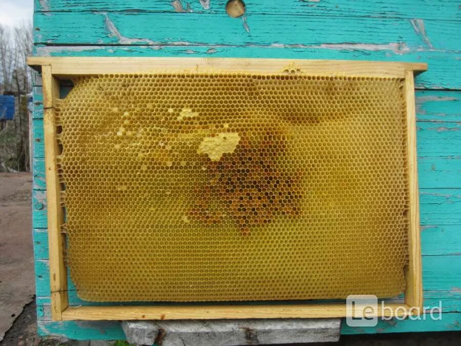 Купить пчелиные рамки. Рамка для пчел сушь Дадан. Рамки вощина Дадан 145. Сушь пчелиная Дадан. Сушь пчеловодческая.