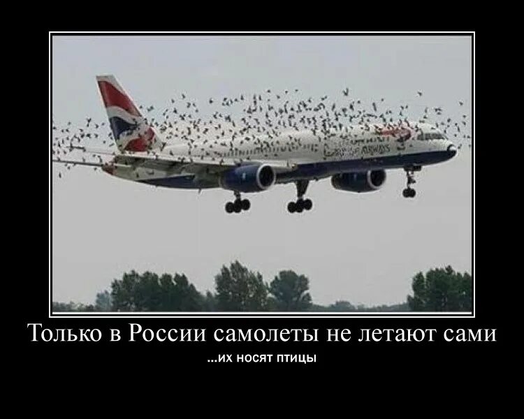 Демотиватор самолет. Украинская Авиация демотиваторы. Украинская Авиация прикол. Демотиватор самолёт Украины
