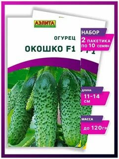 Огурец окошко f1 отзывы