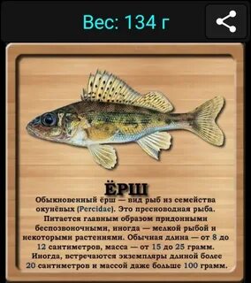 Сколько в слове ерш