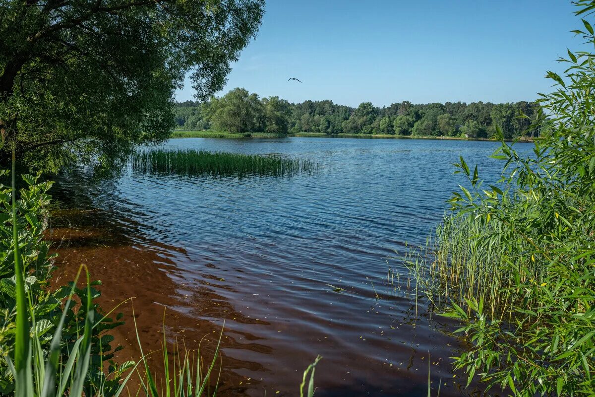 верхневолжье конаково. иволга тверь транспорт верхневолжья. транспорт верхневолжья. транспорт верхневолжья тверь. конаково краснодарского края.