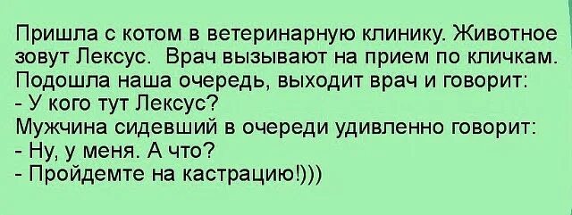 Анекдоты ветеринара. Анекдоты про кастрацию котов. Анекдоты про ветеринаров. Смешные анекдоты про Лексус. Кот и ветеринар анекдот.