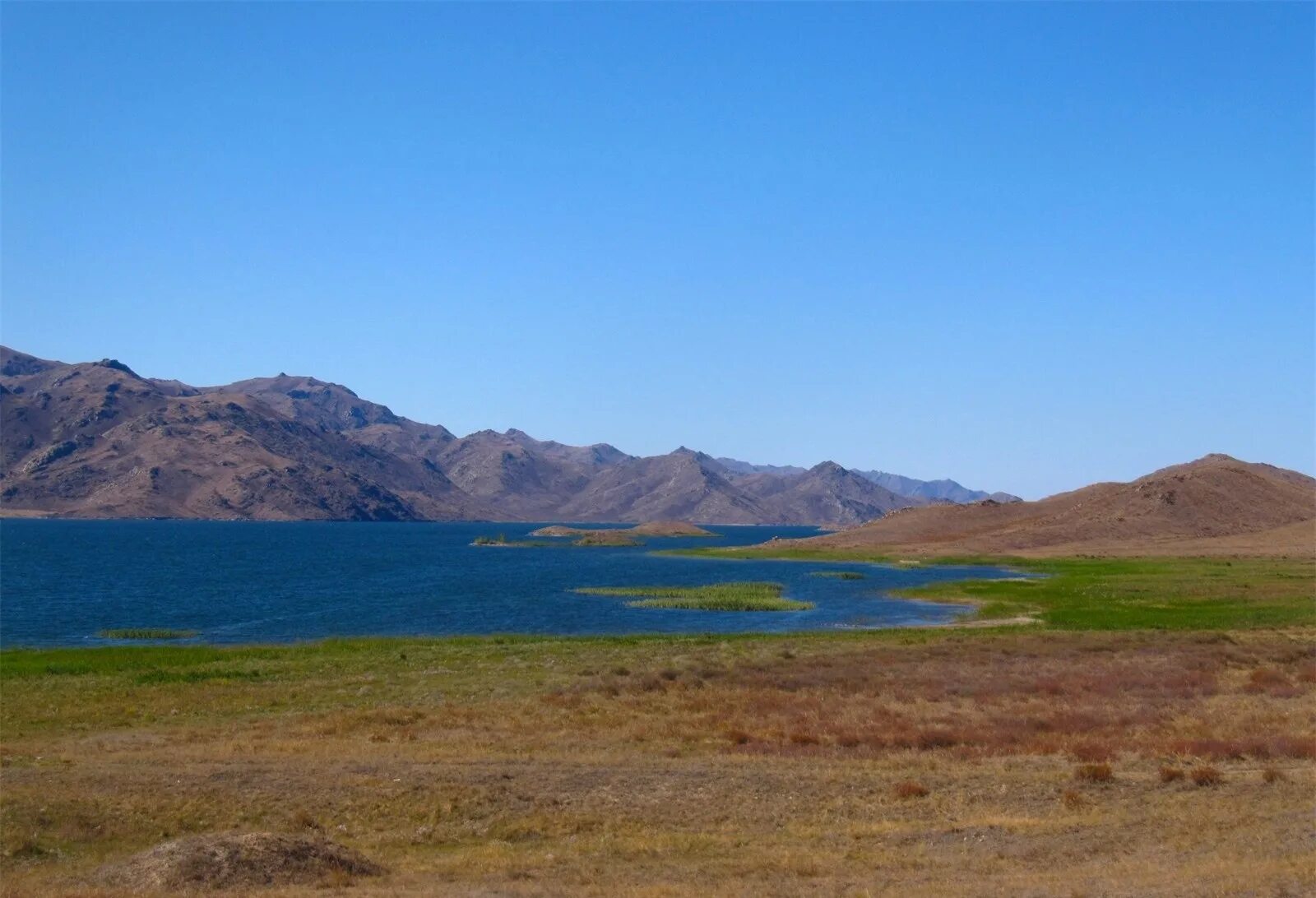 Зайсан. Смартфон в зайсан. Вко озеро зайсан. Зайсан (город). Зайсан.