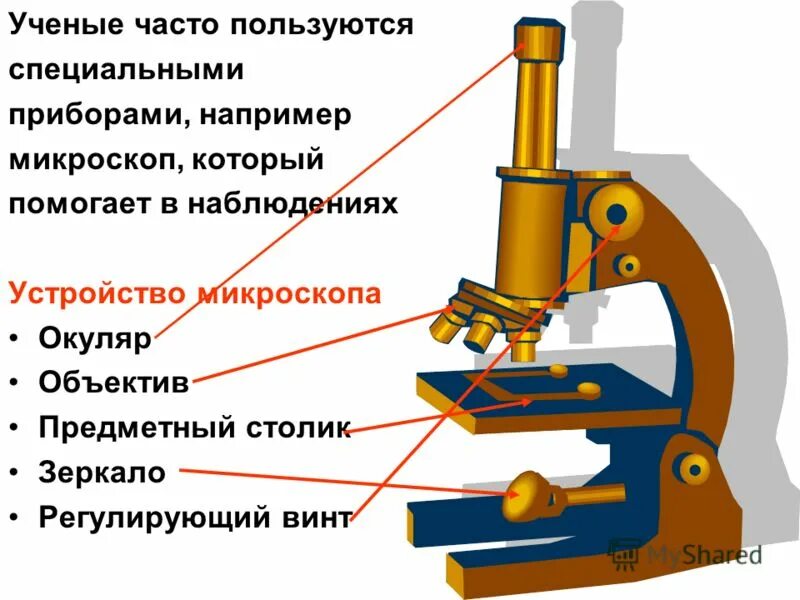 Строение микроскопа и функции его частей. Детали микроскопа. Строение микроскопа. Схема микроскопа. Световой микроскоп строение.