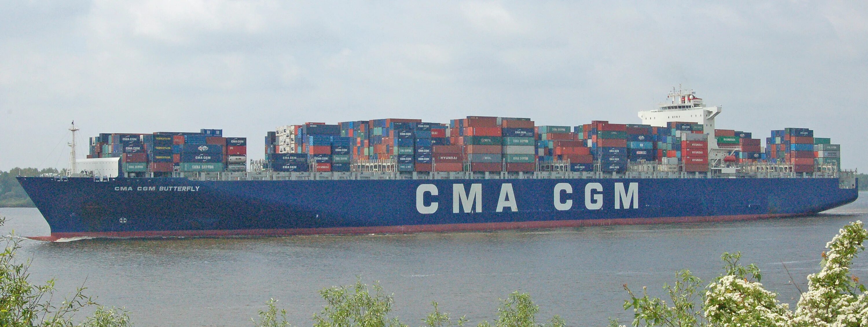 Cma cgm africa one cma cgm. Cma cgm moliere. cma cgm air cargo.