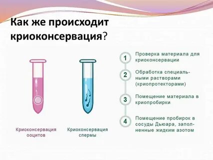 Зачем замораживать яйцеклетки