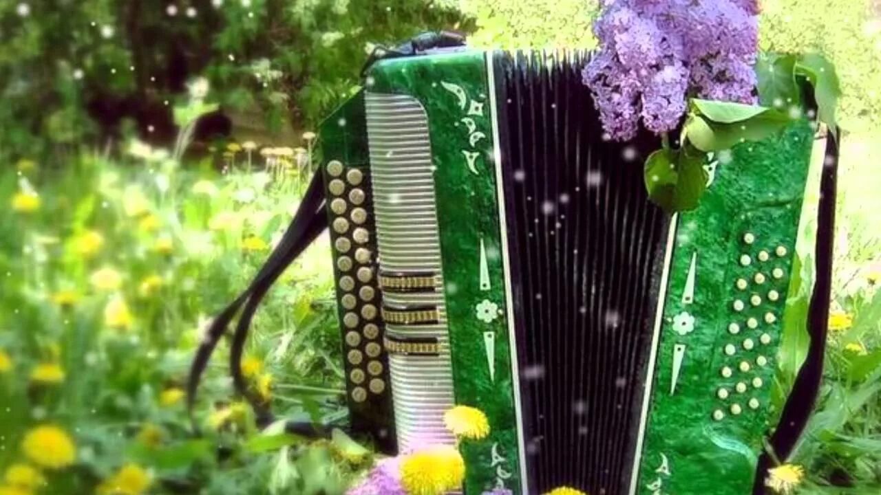 Гармонь на руси. Гармонь душа россии. Александр николаевич наумов гармонь. Гармонь душа. Гармонь фон.