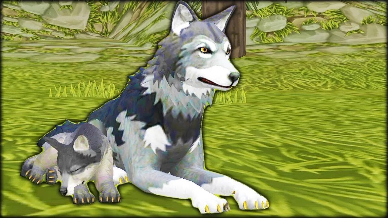 волк и человек дружба. дитя волка. девочка волк лобо. волк летом. волк для детей.