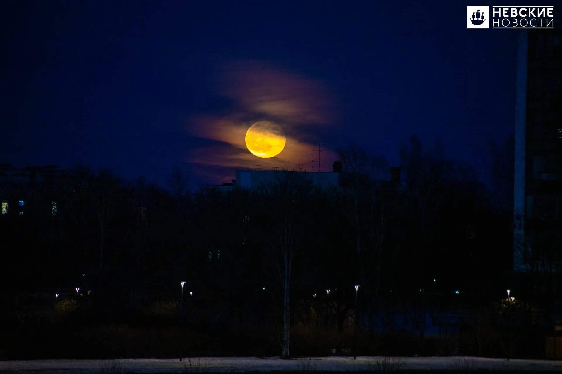 Луна 6 апреля 2024. Фото Луны. Луна над Питером. Луна полнолуние. Оранжевая Луна на небе.