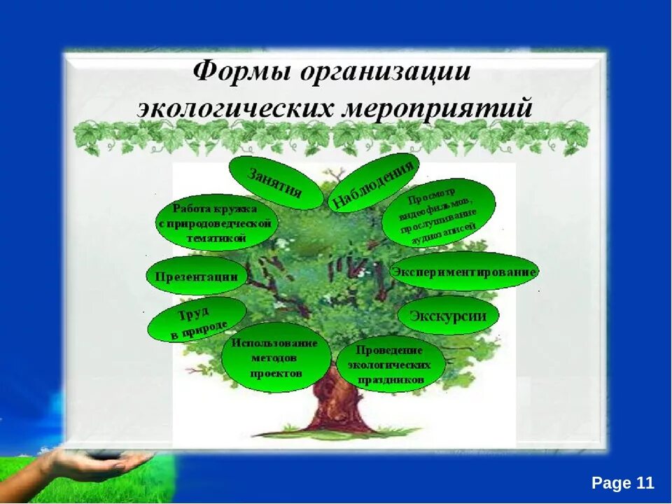 План урока экология. Мероприятия по экологии. Формы экологических мероприятий. Формы мероприятий по экологии. Экологическое воспитание мероприятия.