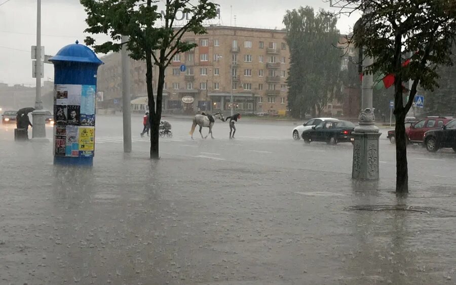 Попали под ливень. Тетушка попала под ливень.