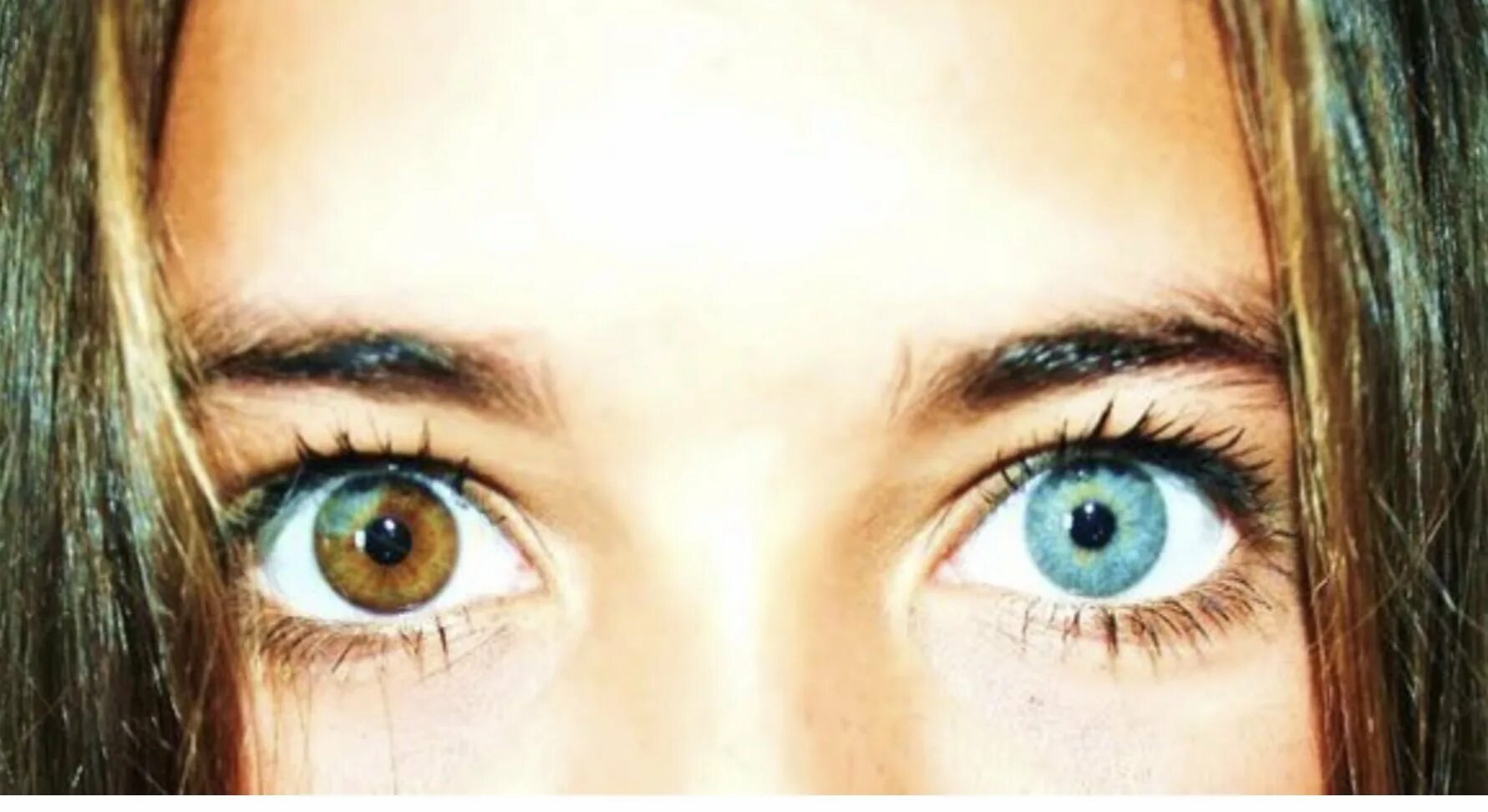 Один глаз серый другой. Настя Джексон гетерохромия. Центральная гетерохромия глаз. Поликория и гетерохромия. Цвет глаз гетерохромия Центральная.