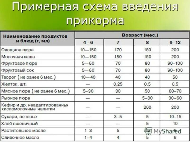 Сроки введения продуктов в прикорм. Примерная схема введения прикорма. Схема ввода продуктов в прикорм ребенку. Примерная схема прикорма ребенка.