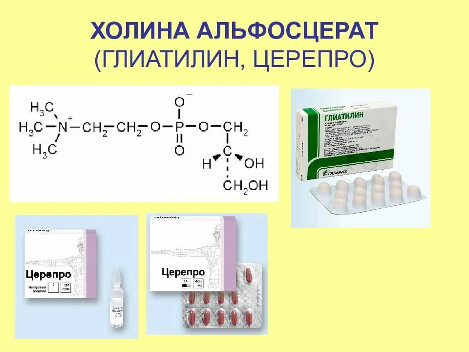 Церепро или глиатилин что лучше и эффективнее. Холина альфосцерат. Холин препараты. Холина альфосцерат препараты. Глиатилин.