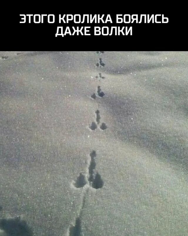 Долго и не будет бояться