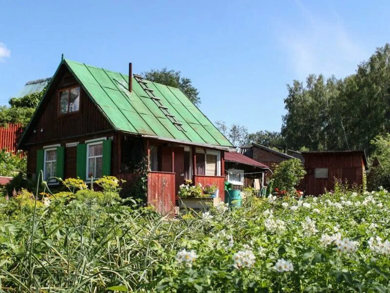 Продам дачу. Дачный участок бердск. Дачи возле города бердск. Дача на днп. Дачный участок бердск.