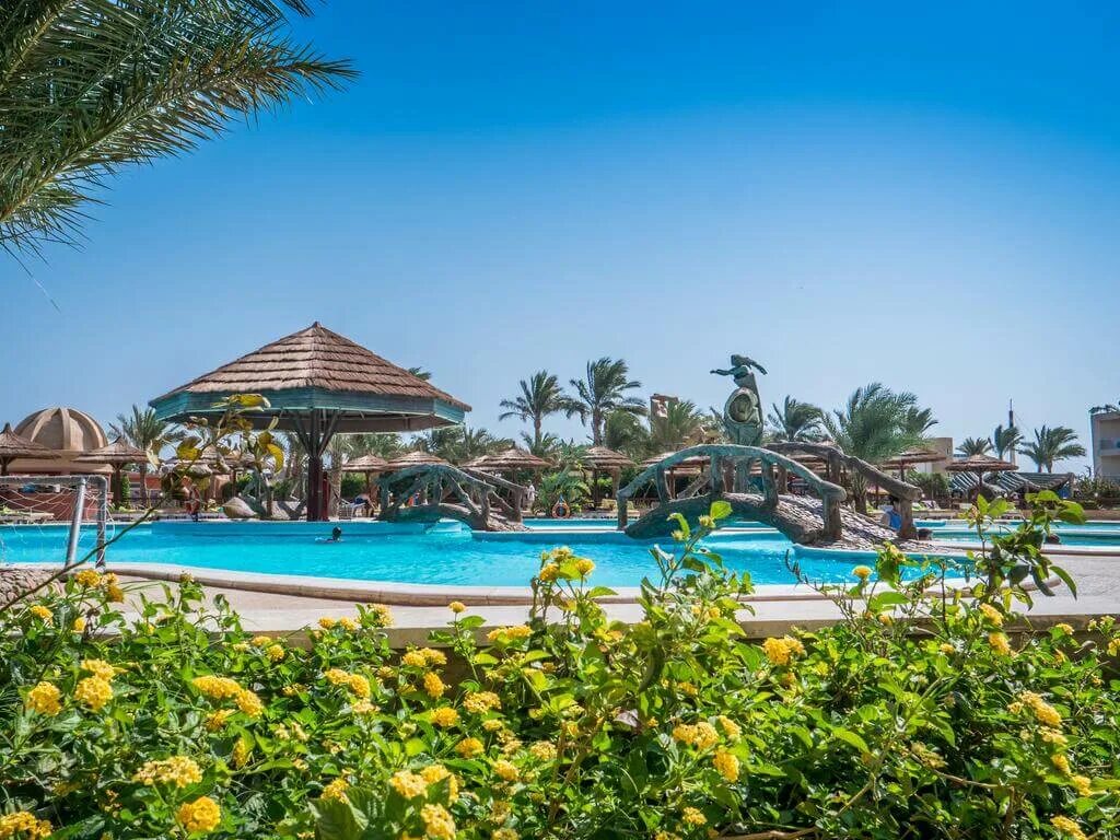 Seagull beach hurghada 4. Sea Gull 4 Египет. Отель Сигал Бич Резорт Хургада. Сигал Бич Резорт 4 Хургада. Отель Seagull Beach Resort 4*.