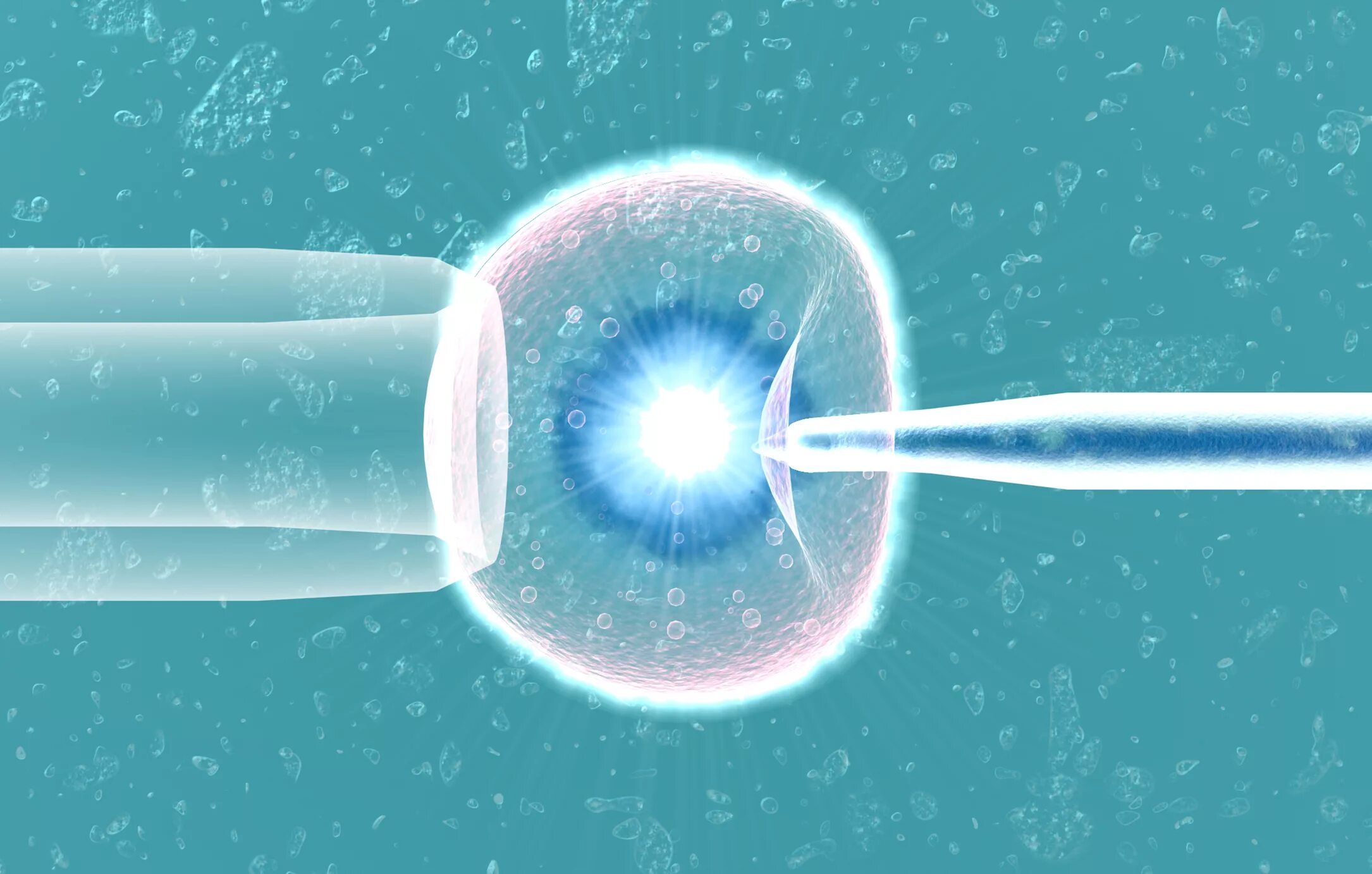 S science