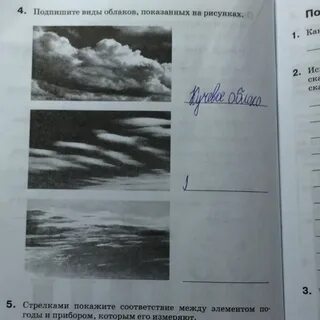 Подпиши виды