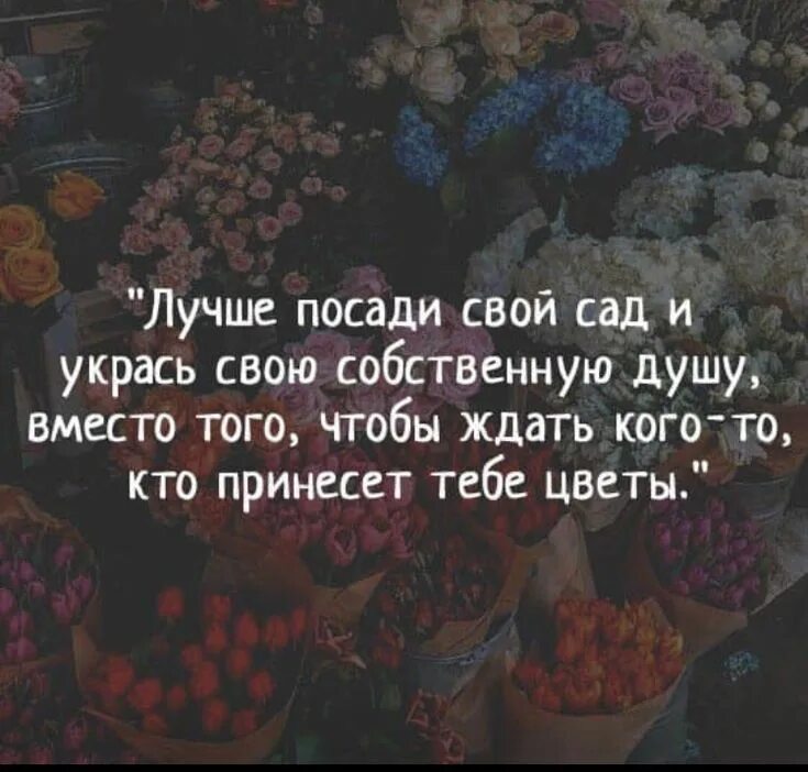 Цитаты из книги душа. Цитаты про сад. афоризмы про сад. цитаты про цветы. афоризмы про цветы.