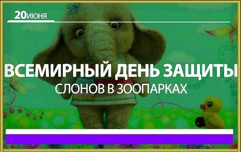 Какой праздник 20 июня 20 года. День защиты слонов. всемирный день защиты слонов в зоопарках. 20 июня праздник. всемирный день слонов в зоопарке.