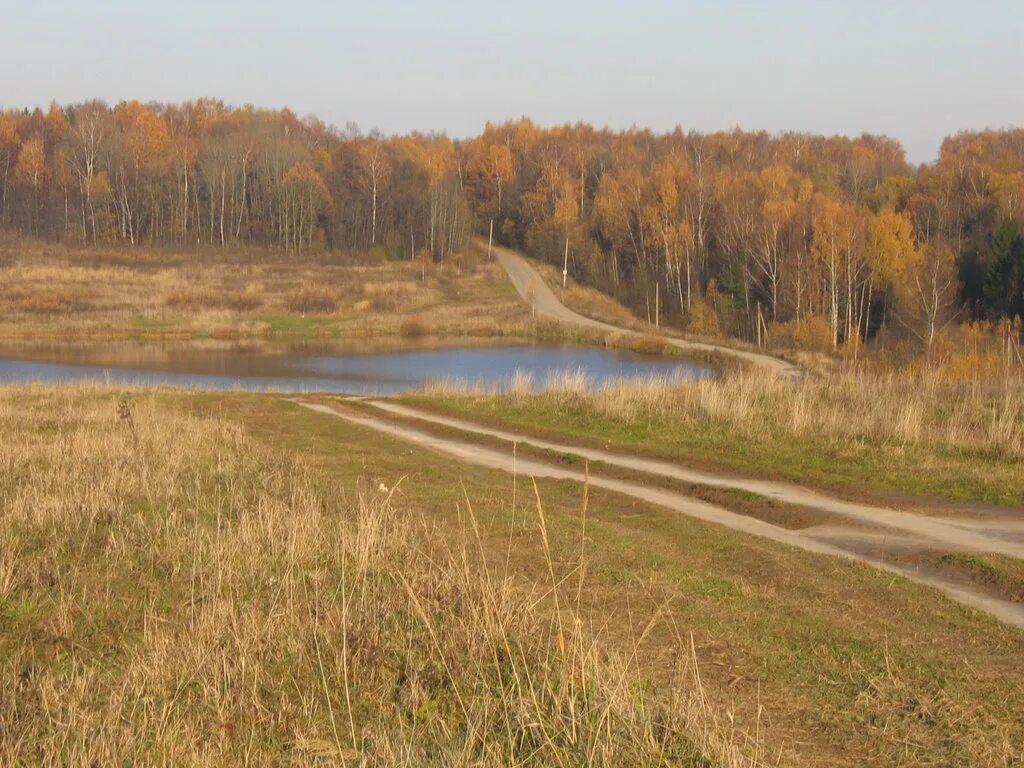 Шарапово нижегородской. Шарапово пруд. Село Шарапово Шатковский район. Шарапово Нижегородская область. Московская обл., дер. Борисовское.