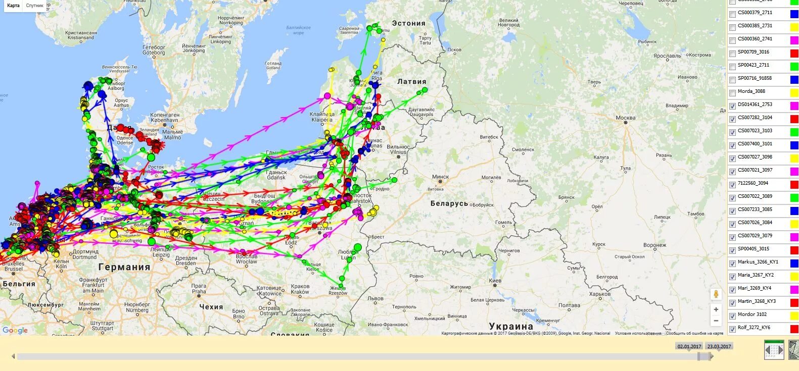 Пролет гуся. Карта миграции гусей в России. Карта миграции гусей в России осенью. Миграция гуся осенью на карте. Пути миграции гусей.