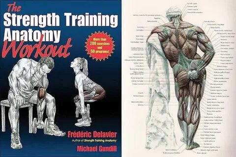 Anatomy pdf