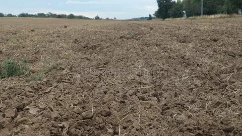 Земля после сбора урожая