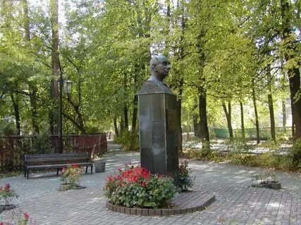 Флеров дубна