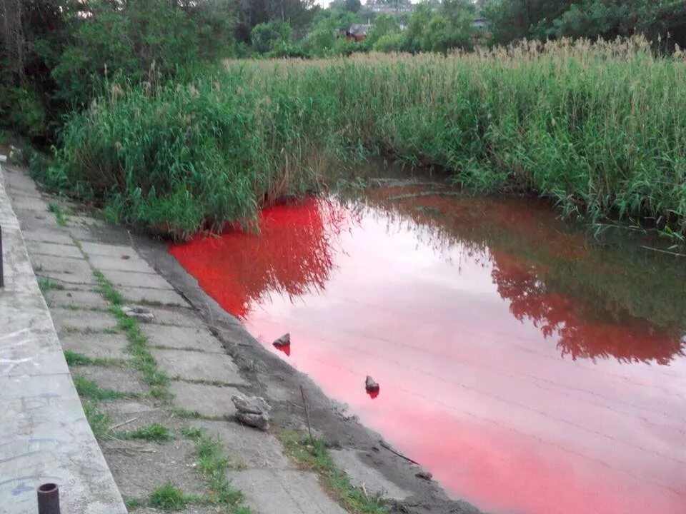 Красная река Запорожье. Речка Московка в Запорожье. Река мокрая Московка. Река мокрая буйвола Ставропольский край Исток. Река красненькая