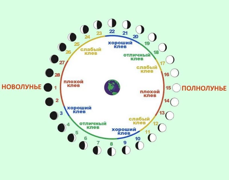 Влияние лунных фаз на клев рыбы. Влияние фазы Луны на клев. Влияние фаз Луны на клев рыбы летом. Новолуние в рыбах. Периоды новолуния