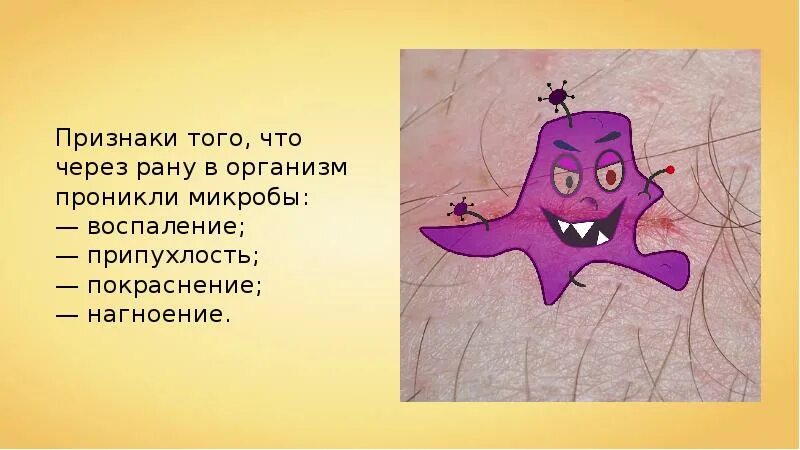 Заболевание кожи 8 класс кратко. Болезни и травмы кожи 8 класс. болезни и травмы кожи 8 класс презентация. травмы кожи 8 класс биология. вывод по теме болезни и травмы кожи.