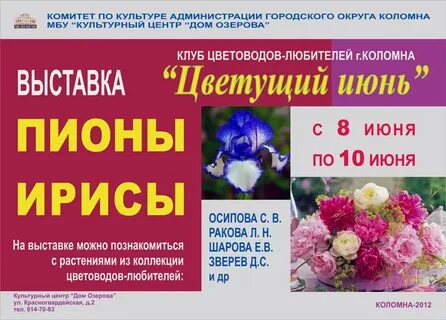 Расписание выставок июнь