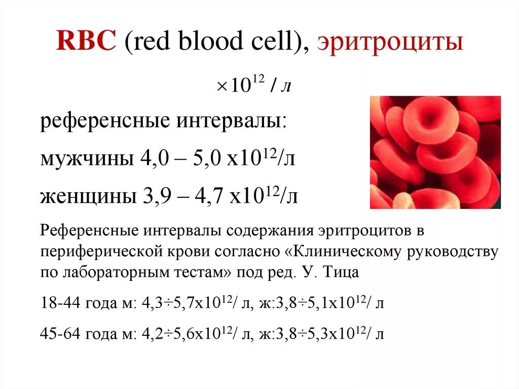 Средняя концентрация эритроцитов повышена у мужчин