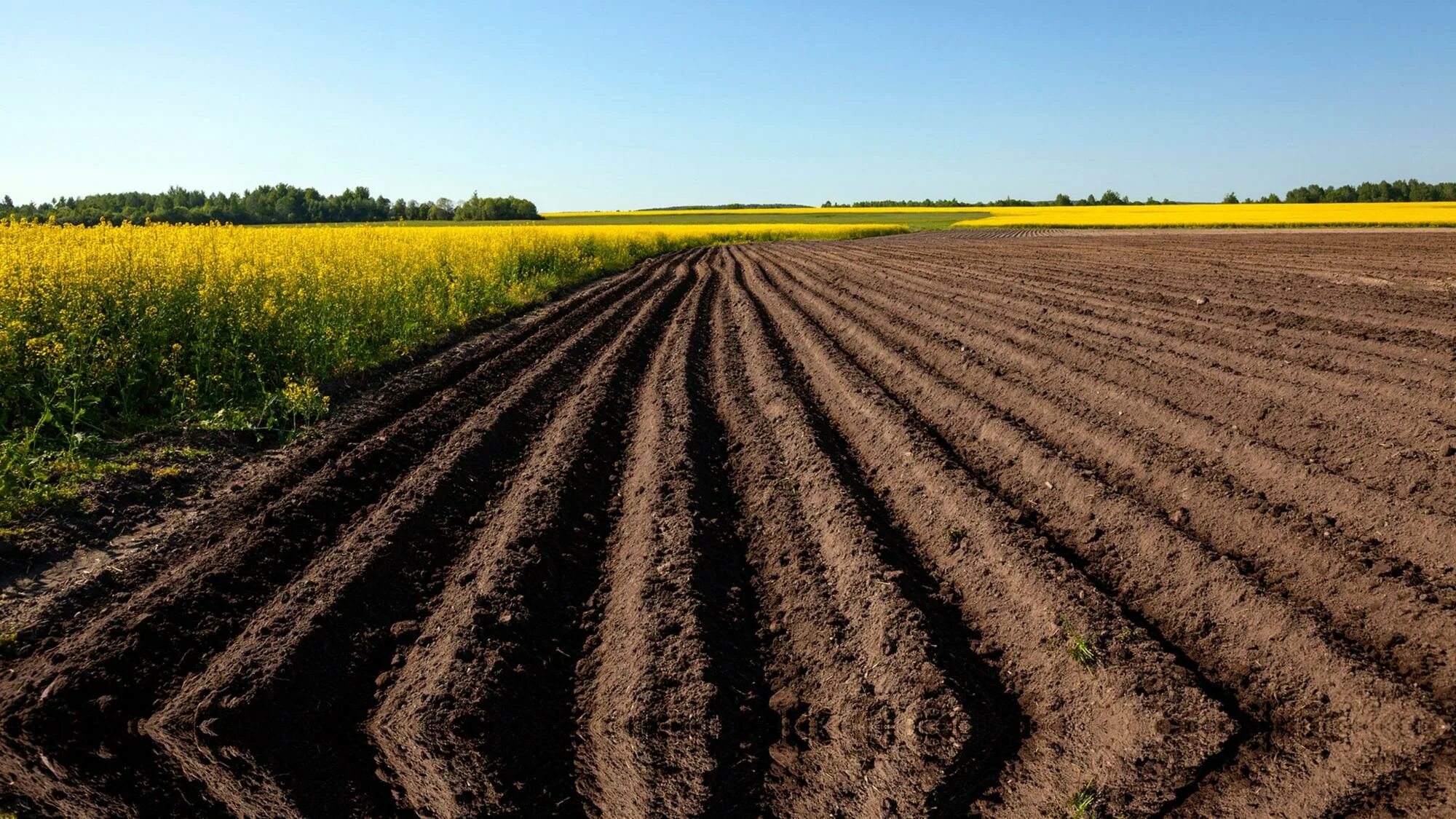 пахотные земли. пахотные земли румынии. пахотные поля белоруссия. продуктивные сельскохозяйственных угодий земли. сельскохозяйственные угодья.