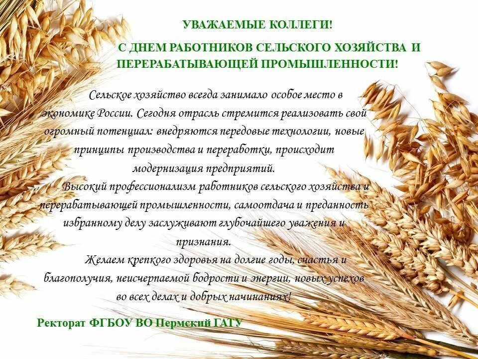 С днем сельского хозяйства. Поздравление уважаемые труженики села. Сценарий на день сельхозработника. Название концерта ко дню сельского хозяйства. День сельского господарства.