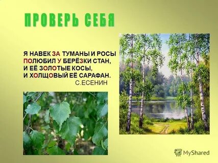 Я навек за туманы и росы полюбил
