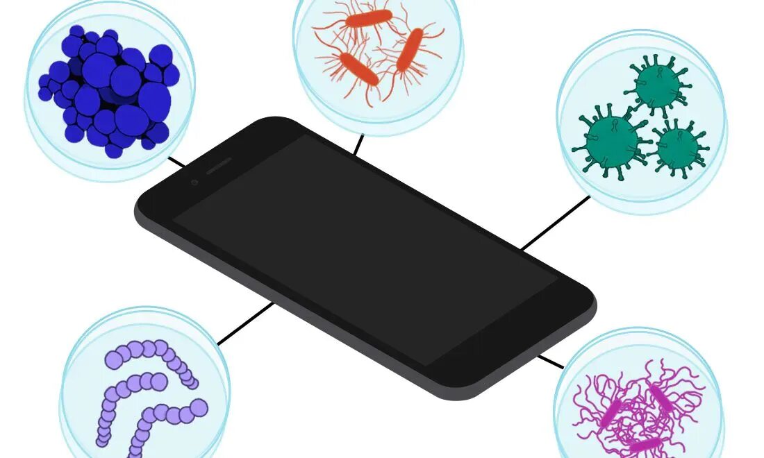 Бактерии на телефоне. Бактерии на гаджетах. Телефонный вирус. Вирус на телефоне. Проверь на телефоне есть вирусы