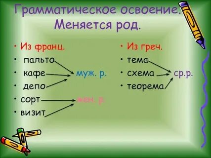 Род закусочной 7