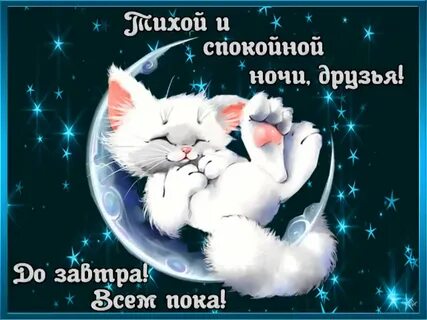 Пожелания весенней доброй ночи прикольные