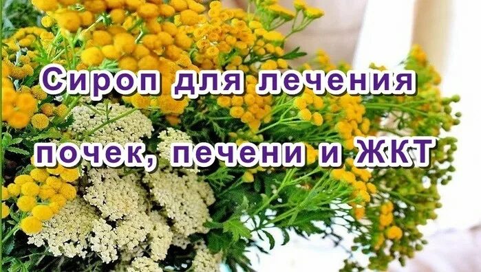 Лечебный сироп для печени, почек и ЖКТ. Тысячелистник.