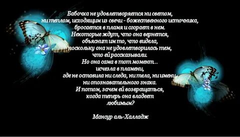 Все мотыльки летят на свет стих