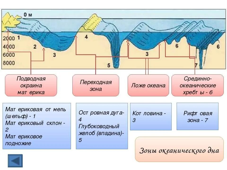 Рельеф мирового океана 5 класс география. Схема дна мирового океана 6 класс география. Рельеф дна мирового океана схема. Основные формы рельефадна мирового токеана. Формы рельефа дна мирового океана 6 класс.