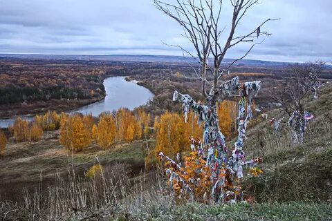 Какие природные объекты запечатлены в песенном фольклоре