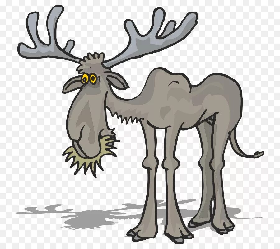 лось и человек. олень прикол. лось карикатура. веселый лось. смешной олень.