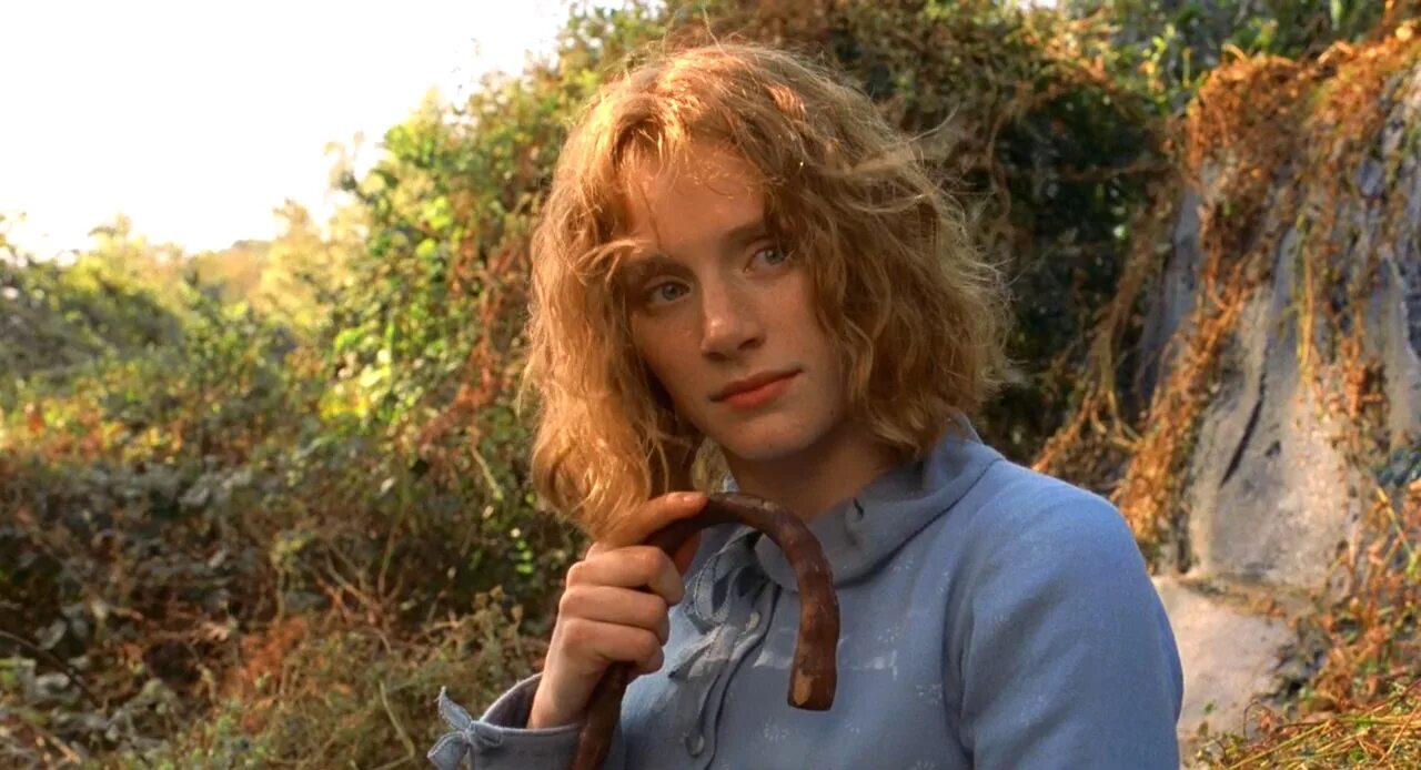 Таинственный лес 2004. Шьямалан фильмы таинственный лес. Таинственный лес фильм 2004. Тайный лес фильм 2004. Таинственный лес фильм.