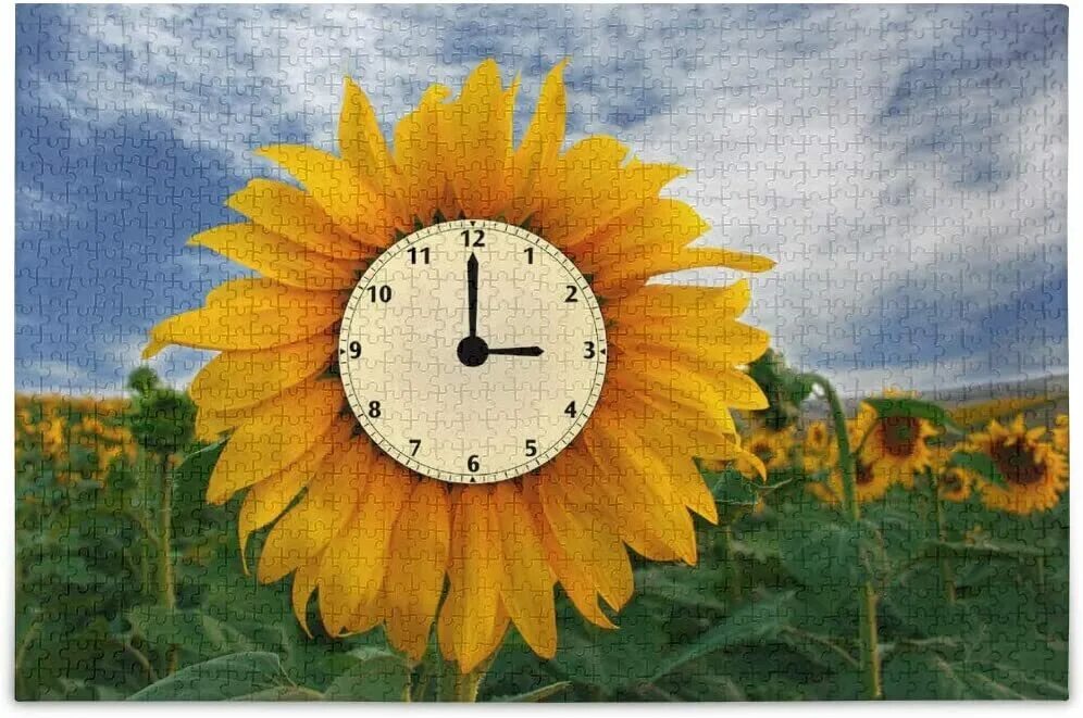 Час подсолнуха. Часы sunflower clock. часы energy с подсолнухами. биологические часы подсолнуха. подсолнух 1000-7.